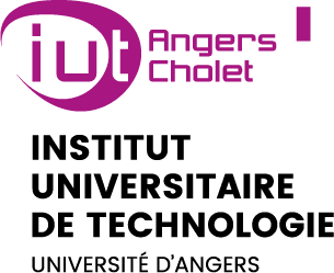Dut techniques de commercialisation